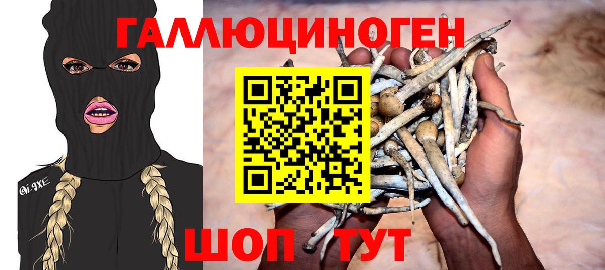Галлюциногенные грибы Psilocybe  Псилоцибиновые грибы мухоморы  Чехов  Вход с VPN 