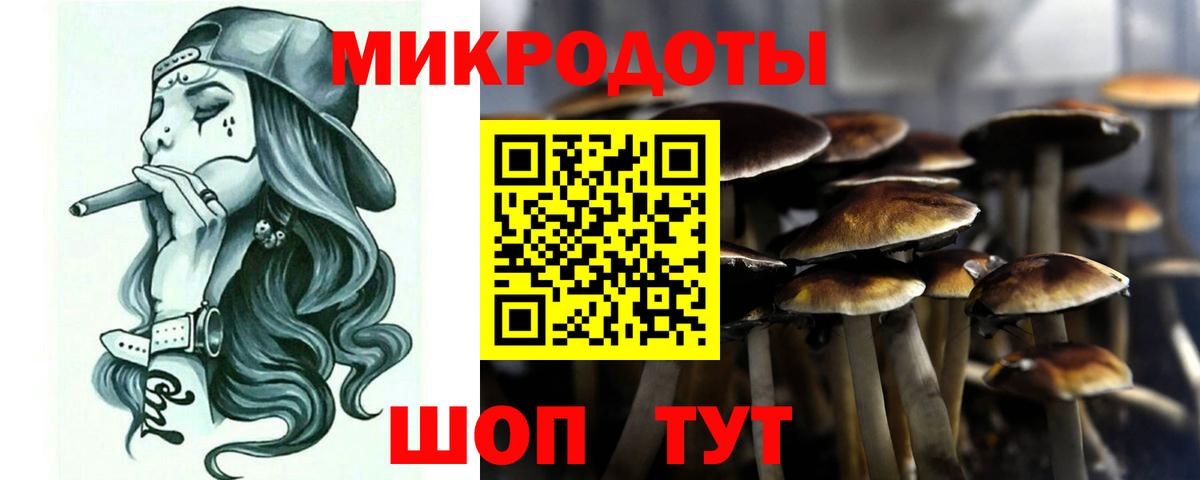 Галлюциногенные грибы Psilocybine cubensis Чехов