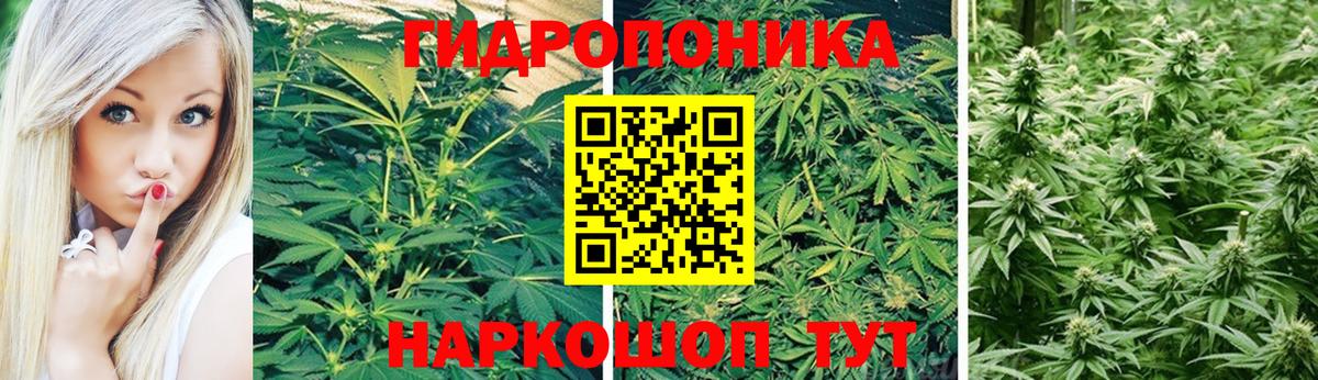 Марихуана LSD WEED Чехов